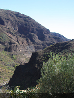 Gran Canaria - Barranco de Guayadeque